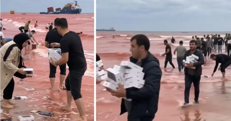 Haos în Ormuz: pescarii iranieni recuperează iPhone-uri și parfumuri din nave scufundate
