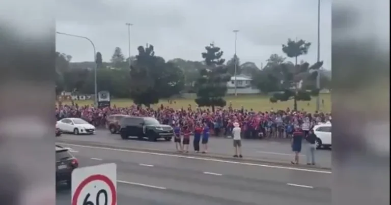 Mașină intrată în suporteri de rugby lângă Sydney: mai mulți răniți Mașină intrată în suporteri de rugby lângă Sydney: mai mulți răniți