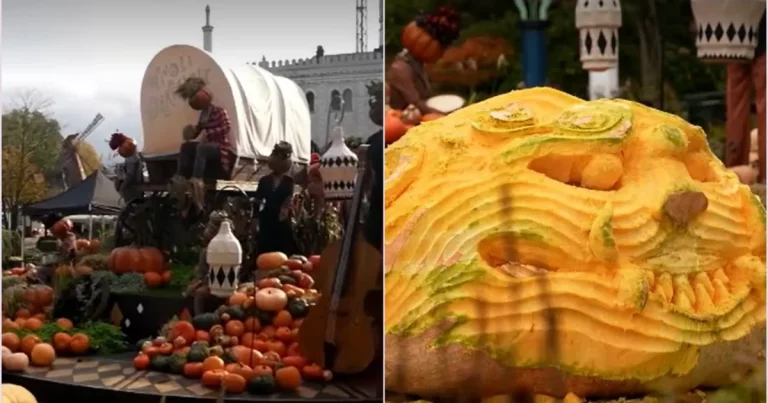 Parc danez cu 20.000 de dovleci. Unul de 1.200 kg, vedeta
