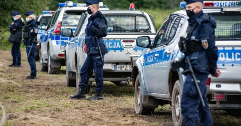Românii culeg ciuperci în pădurile Poloniei. Localnicii au alertat autoritățile Românii culeg ciuperci în pădurile Poloniei. Localnicii au alertat autoritățile