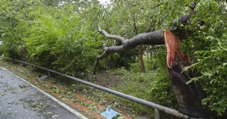 Taifunul Champi în Taiwan: 56.000 de gospodării fără curent, un mort și mii de evacuați