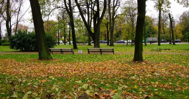 Toamnă caldă în România: vremea până în noiembrie Toamnă caldă în România: vremea până în noiembrie